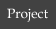 Project